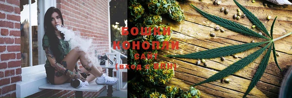 a pvp Рославль