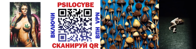 Галлюциногенные грибы Cubensis  Купить где  Пенза 